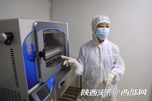 行走自貿區 跨國診療與共享實驗室推動現代醫療效率革命